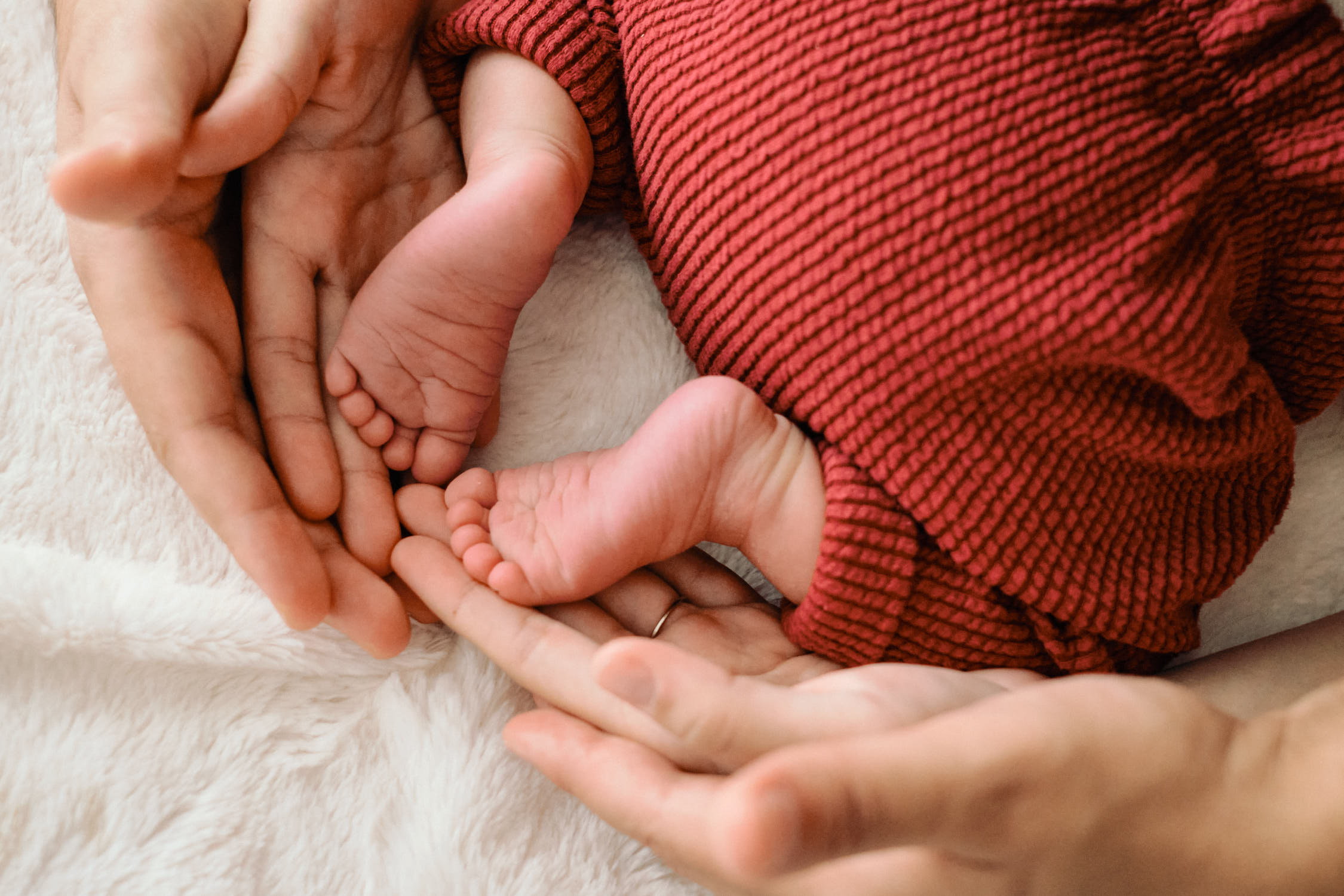 seance photo naissance a la maison bruges - photographe famille bruges - sandra lexow